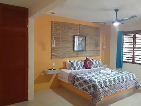 Hotel Posada Las Iguanas Playa del Carmen